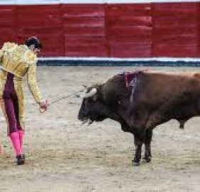 Bullfighting is Bullshit image cvr