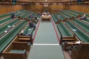 House of commons empty